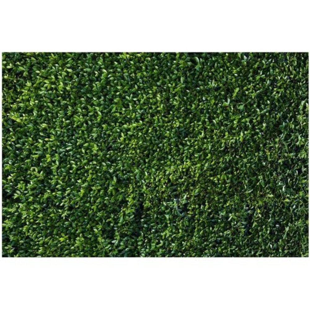 10x8ft Vinyl Nature 3D Spring Green Leaves Photo Background Newborn Baby Shower